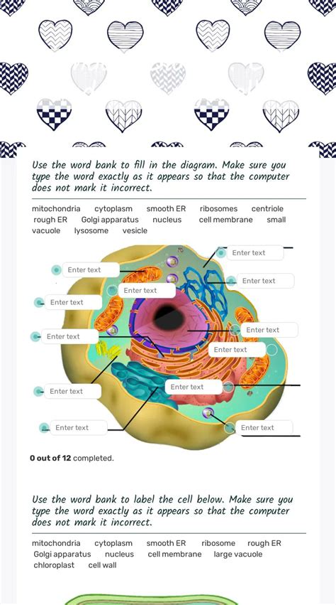 Cell Organelle Functions Worksheet Worksheets For All Cell Worksheets Library