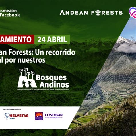 Lanzamiento Del Andean Forests Un Recorrido Virtual Por Nuestros