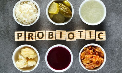 What Are Some Sources Of Probiotics Fitpaa