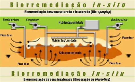 Remedia O De Solos T Cnicas Alternativas Melhoram Desempenho