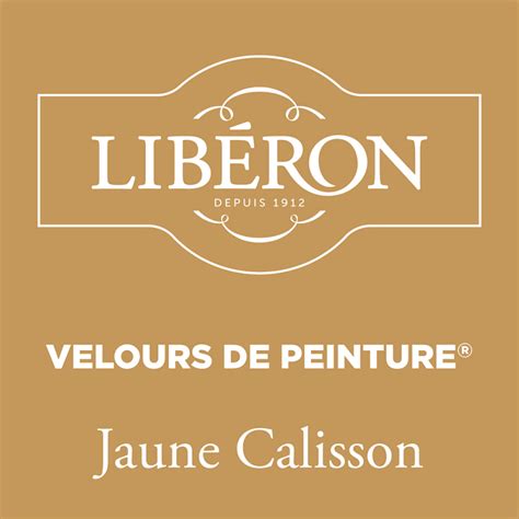 Peinture Pour Murs Velours De Peinture Jaune Calisson Mat L Liberon