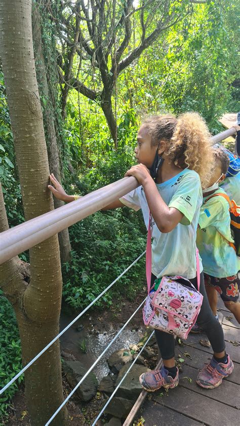 Férias Ecológicas Julho 2022 Oceane se Projeto Golfinho Rotador