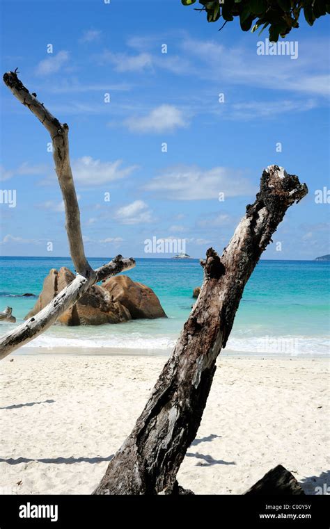 Praslin Island Seychelles Paradisiacal Anse Lazio Beach One Of The