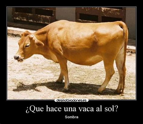 Sintético 100 Foto Chistes Que Le Dijo Una Vaca A Otra Vaca El último