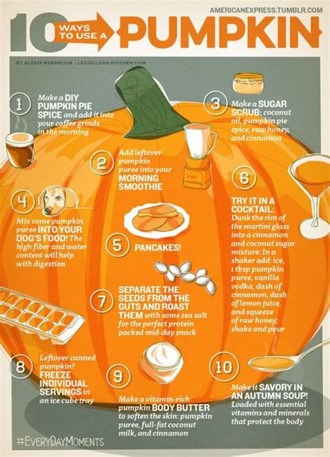 Create The Perfect Meal With These Thanksgiving Dinner Infographics