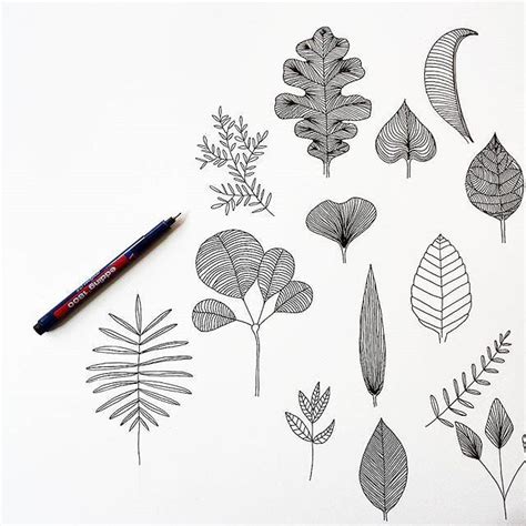 Get inspired by these intricate leaf illustrations for fabric patterns