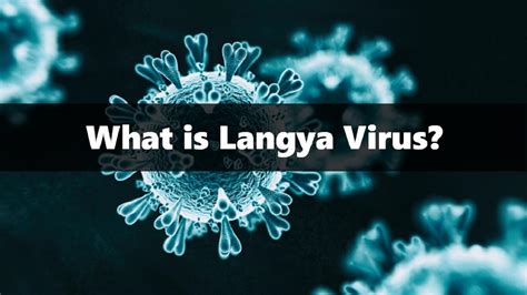 What is Langya Virus? Know Symptoms and How deadly it is?