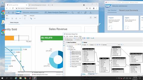 SAP BI Analytics SAP HANA And SAP BusinessObjects