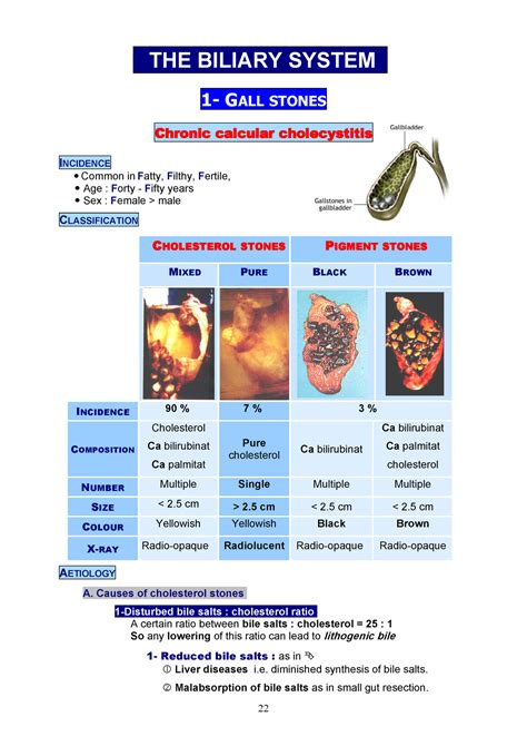 Biliary System Medicine Way Gall Stones Chronic