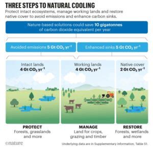 자연 기반 해법 NBS 으로 지구 온도를 낮출 수 있다 globalclimatemedia