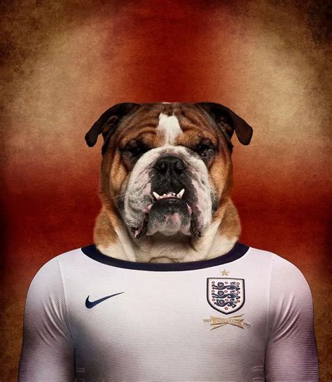 World Cup Dogs From English Bulldog To German Shepherd Meet The