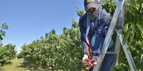 Truffa Aggravata Nel Vibonese A Giudizio Piccolo Esercito Di Falsi