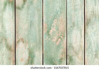 Natural Light Green Wood Texture Background Stock Photo 1567037815 ...