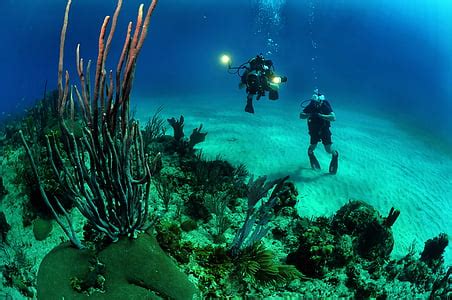 Royalty Free Photo Man Wearing Black And Red Diving Suit Underwater