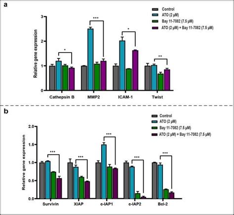 Combination Treatment With Ato And Bay 11 7082 Inhibited The