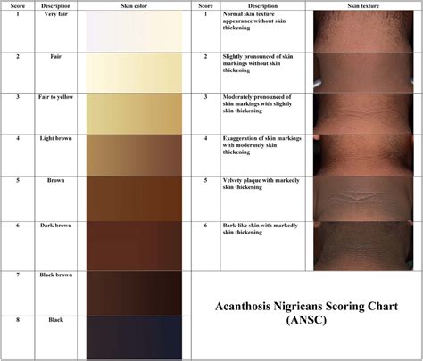 Acanthosis Nigricans Scoring Chart Ansc Download Scientific Diagram