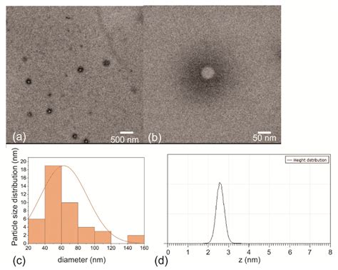 Nanomaterials Free Full Text Highly Efficient Antibacterial Polymer