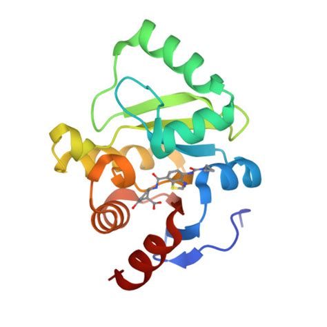 RCSB PDB 5SQY PanDDA Analysis Group Deposition Crystal Structure