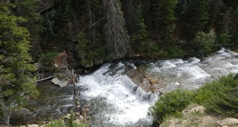 Left Fork Huntington Creek