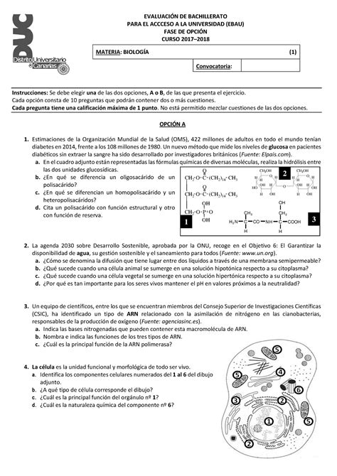 Examen Biologia Ebau Junio Evaluacin De Bachillerato Para El