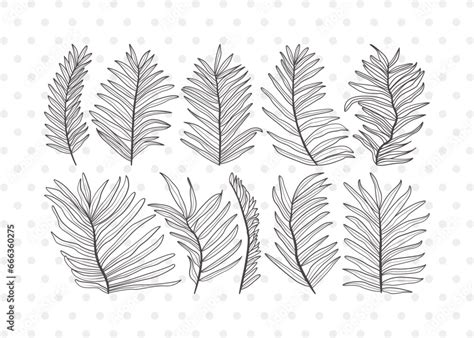 Palm Leaves Clipart Svg Cut File Palm Leaf Svg Tropical Leaves Svg