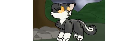 Shadowsight As A Kitten Warrior Cats