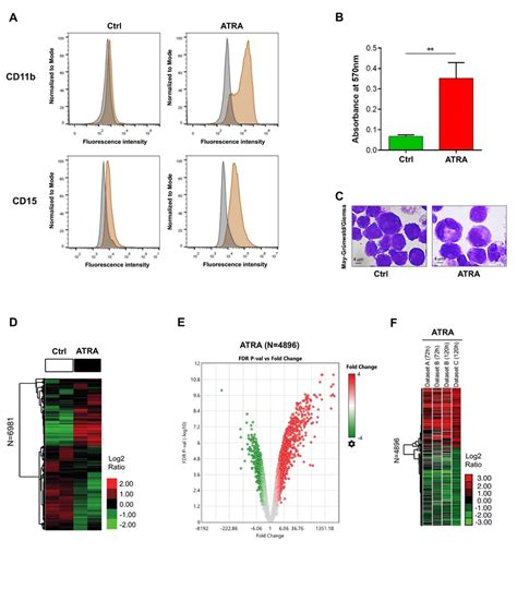 Genes Expression Profile Of All Trans Retinoic Acid Atra Treated Nb