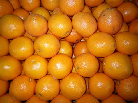 oranges  stock photo public domain pictures