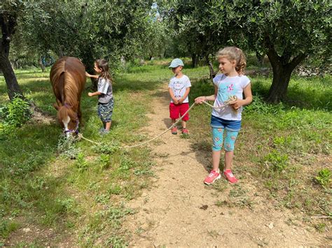 Campo Natura Estivo Parco Natura Asinolla