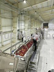 V Sus Apple Juice Processing Line For Food Industries