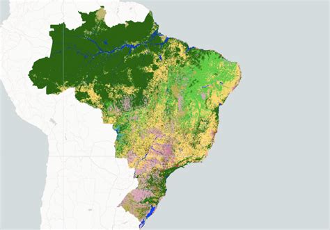 IPAM Amazônia Brasil perdeu 10 do território em vegetação nativa