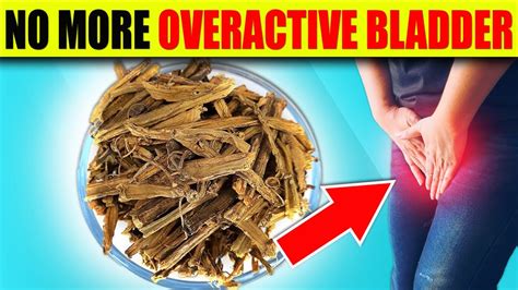 5 Best Remedies For An Overactive Bladder Youtube