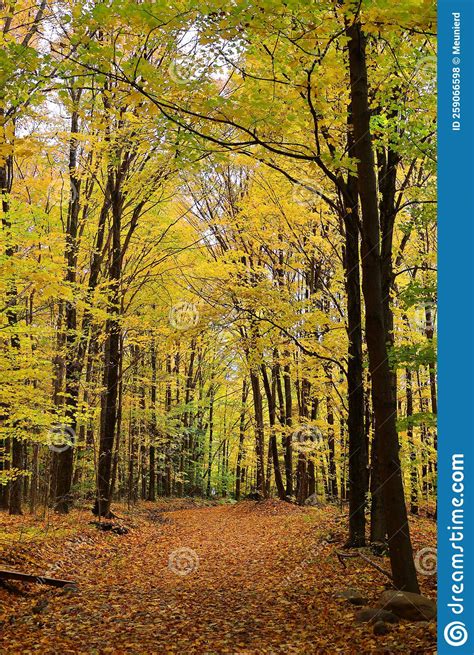 North America Fall Landscape Eastern Townships Bromont Stock Photo