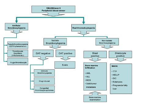 Thrombocytopenia Flow Chart