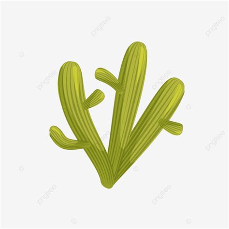 Simple Desierto Cactus Rbol Dibujos Animados Dibujados A Mano Lindo