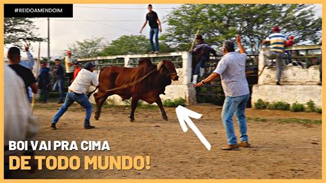 FEIRA DE GADO EM CARUARU PE OS GADOS TAVAM MUITO AGITADOS HOJE 19