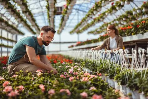 999 Plant Nursery Pictures Download Free Images On Unsplash