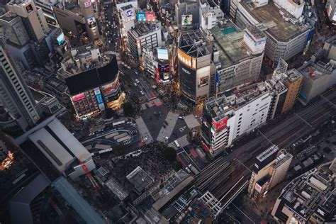 Shibuya Sky Vs Tokyo Skytree Vs Tokyo Tower Comparison (2024)