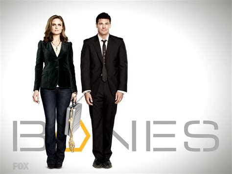 David Boreanaz Bones Wallpaper