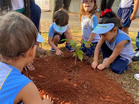 Alunos da Educação Adventista plantam mudas de Ipê em comemoração ao