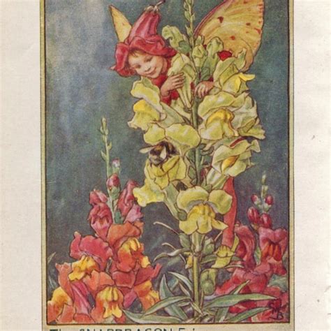 Flower Fairies The Yarrow Fairy Vintage Print C1930 By Cicely Etsy