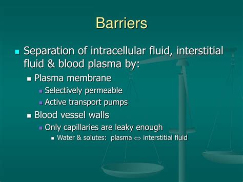 Ppt Fluid And Electrolyte Balance Powerpoint Presentation Free Download Id 4587704