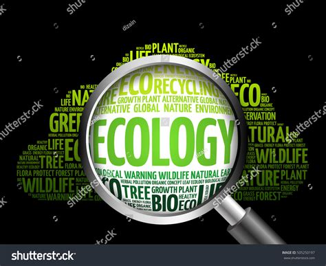 Ecology Word Cloud Magnifying Glass Ecology Stock Illustration