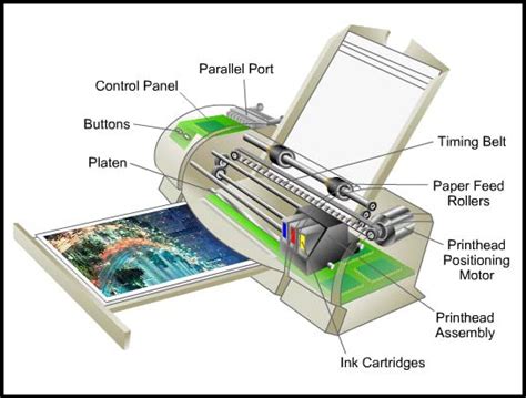 Inilah Bagian Bagian Printer Dan Fungsinya Pembahasan Lengkap Bisa