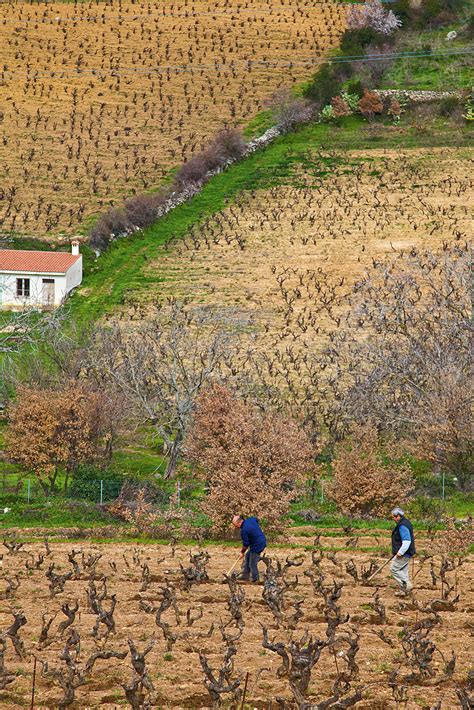 Distretto Culturale Del Nuorese Le Vin