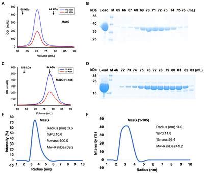 Frontiers Structural Analysis Of The Housecleaning Nucleoside