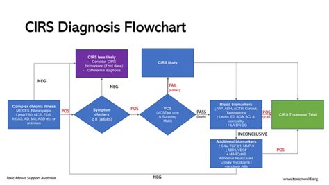 Chronic Inflammatory Response Syndrome (CIRS) Explained - Toxic Mould ...