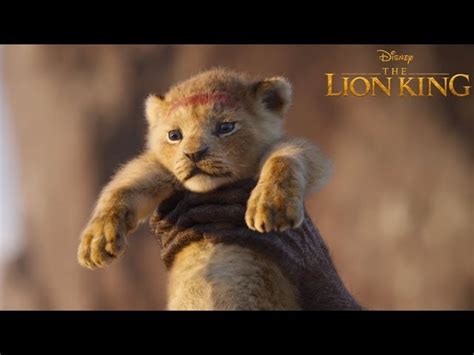 Mufasa The Lion King Teaser Trailer 2024 Live Action Movie Disney Hd Bilibili Atelier Yuwa