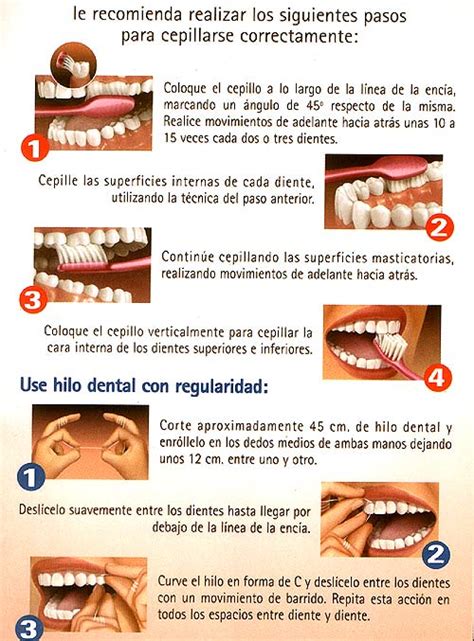 Tecnicas De Cepillado En Odontologia Pdf Medidas De Cajones De Estacionamiento Para