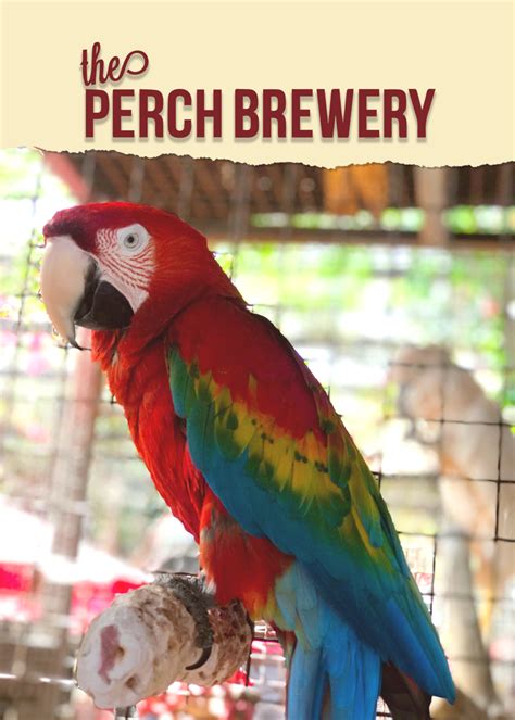 The Perch Brewery | Craft beer, craft food & feathered friends